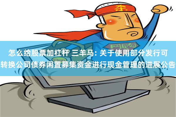 怎么给股票加杠杆 三羊马: 关于使用部分发行可转换公司债券闲置募集资金进行现金管理的进展公告