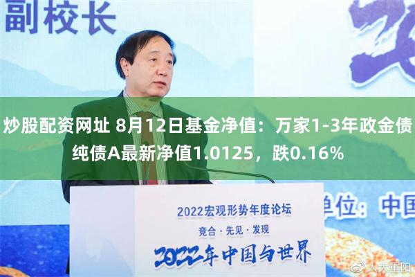 炒股配资网址 8月12日基金净值：万家1-3年政金债纯债A最新净值1.0125，跌0.16%