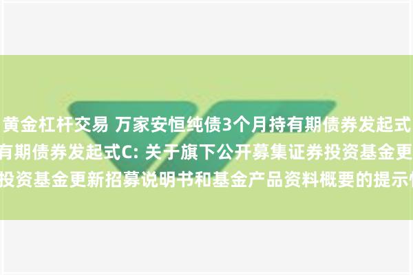 黄金杠杆交易 万家安恒纯债3个月持有期债券发起式A,万家安恒纯债3个月持有期债券发起式C: 关于旗下公开募集证券投资基金更新招募说明书和基金产品资料概要的提示性公告(2024-9-7)