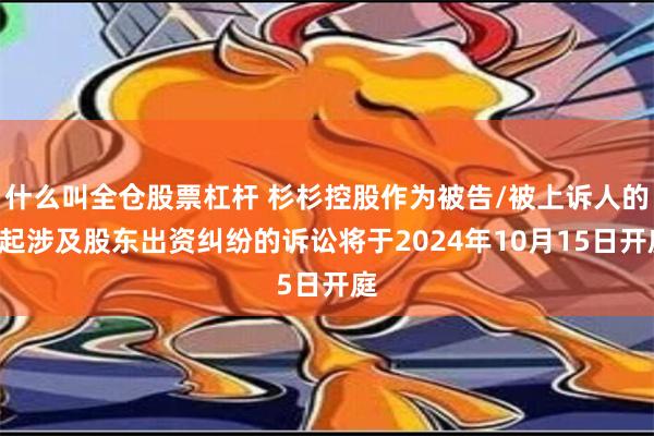 什么叫全仓股票杠杆 杉杉控股作为被告/被上诉人的1起涉及股东出资纠纷的诉讼将于2024年10月15日开庭