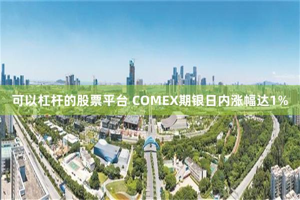 可以杠杆的股票平台 COMEX期银日内涨幅达1%