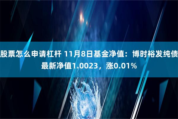 股票怎么申请杠杆 11月8日基金净值：博时裕发纯债最新净值1.0023，涨0.01%