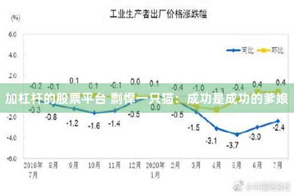 加杠杆的股票平台 剽悍一只猫：成功是成功的爹娘