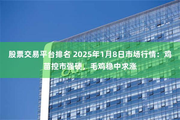 股票交易平台排名 2025年1月8日市场行情：鸡苗控市强硬，毛鸡稳中求涨